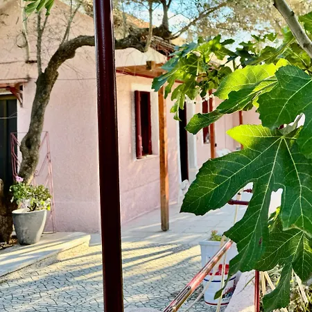Dom wakacyjny Gradakia 1 Argostoli (Kefalonia)